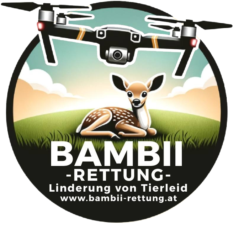 Bambii-Rettung